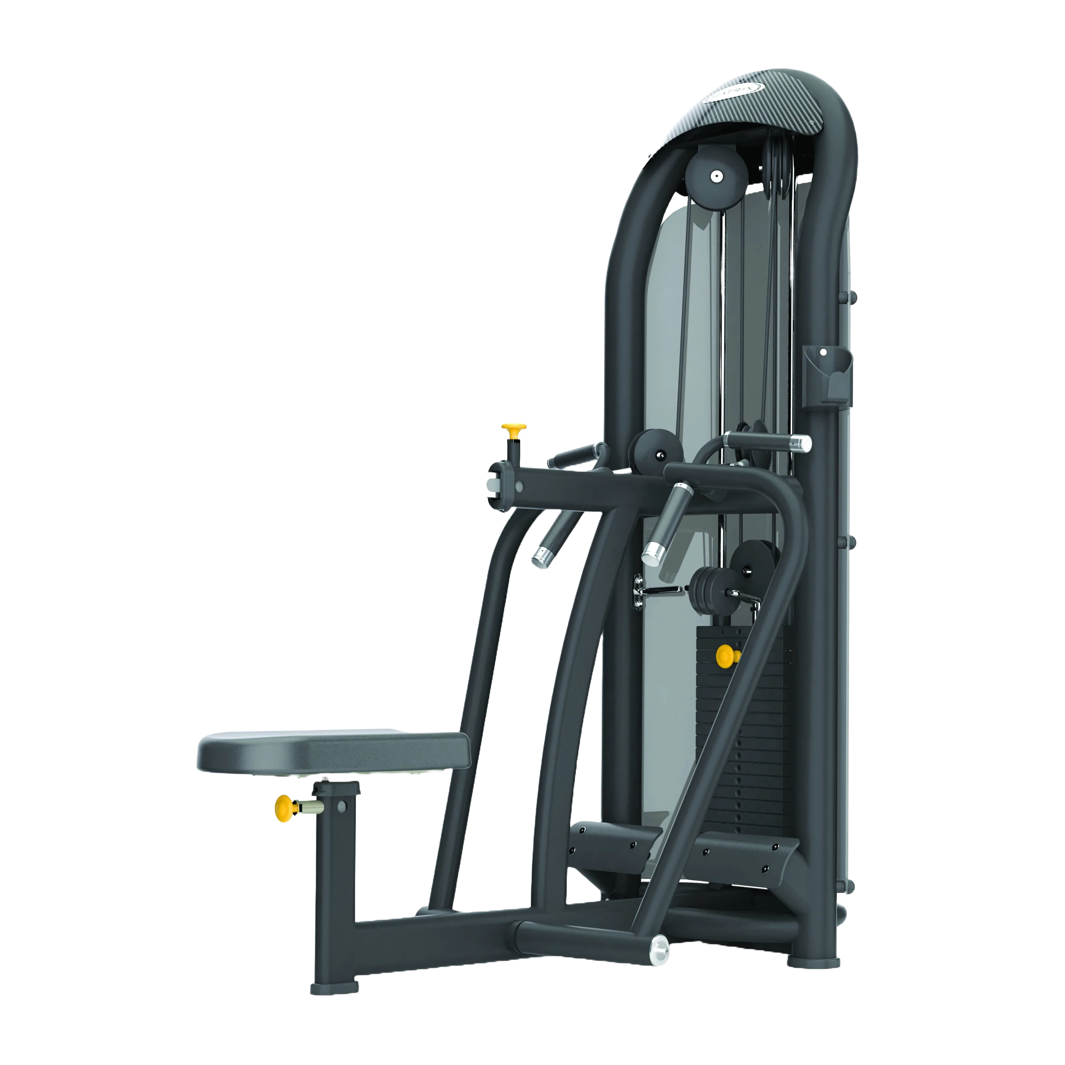 Equipamento de Remada sentada com dupla pegada e movimento independente para treino das costas