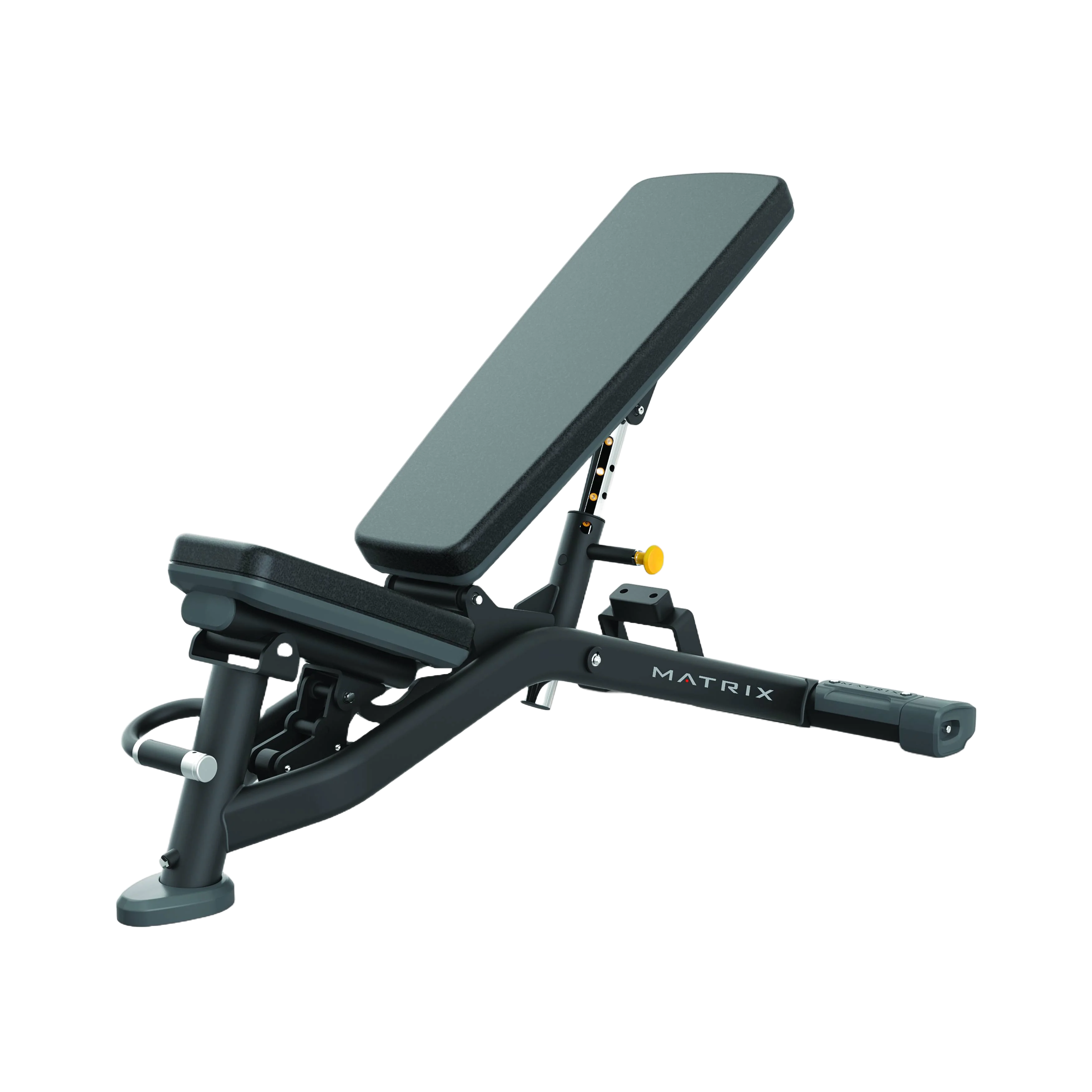 Banco de peso livre ajustável com encosto e assento acolchoados, ideal para treinos de força com conforto e estabilidade.