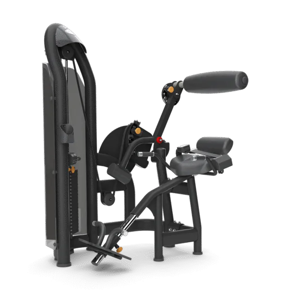 lombar aura matrix fitness