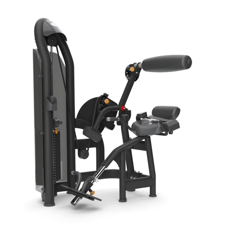lombar aura matrix fitness