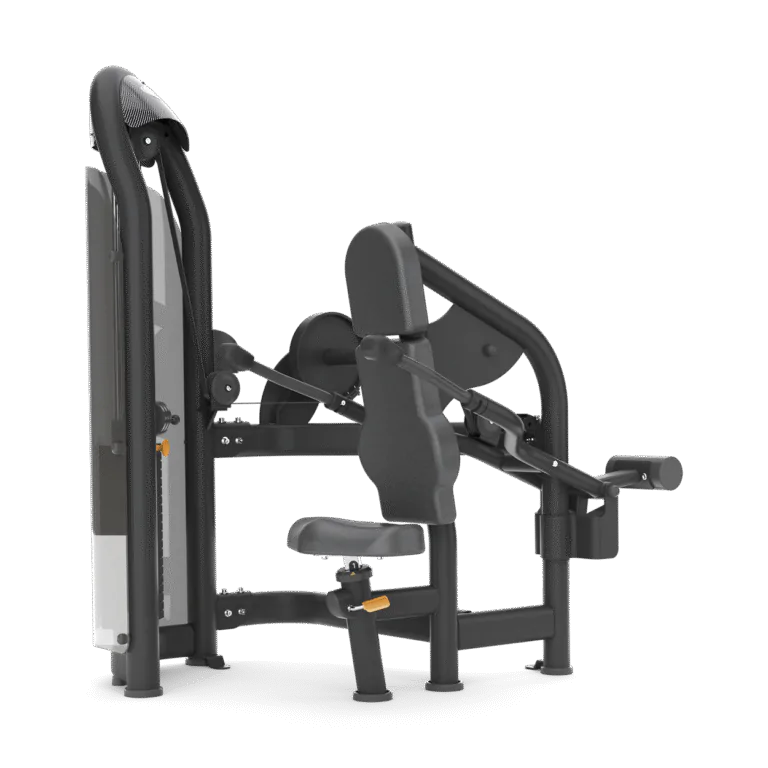 Aura Triceps Press Matrix Fitness