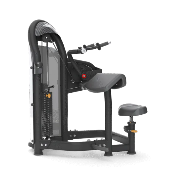 Aura Triceps Extension Matrix Fitness