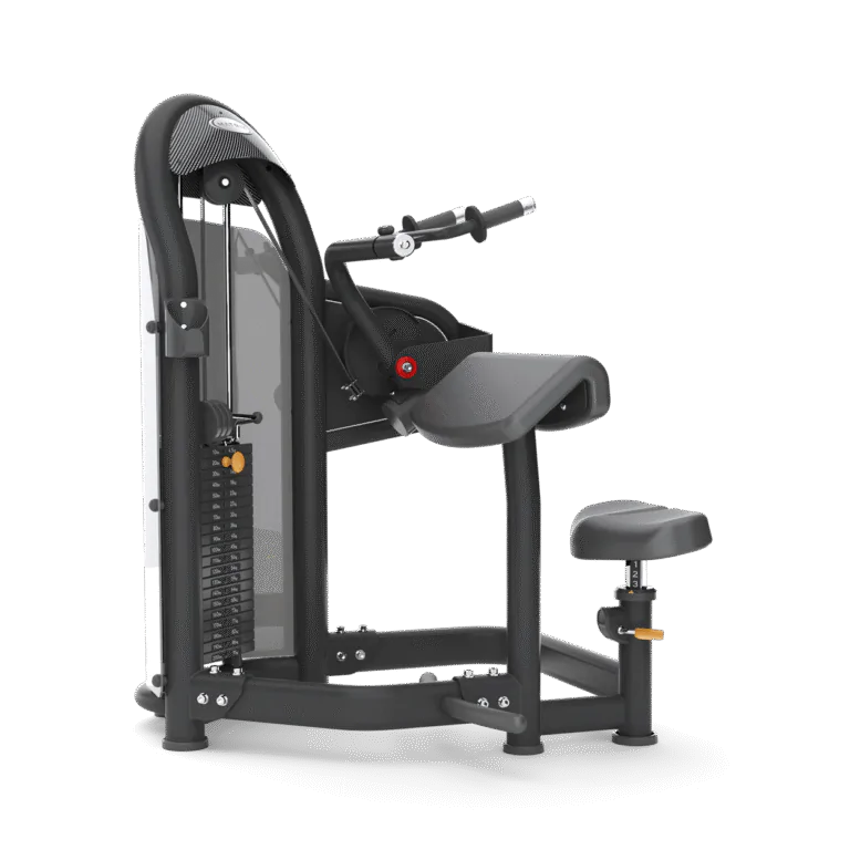 Aura Triceps Extension Matrix Fitness