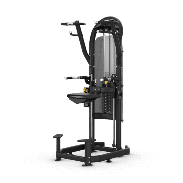 Aura Dip Chin Matrix Fitness