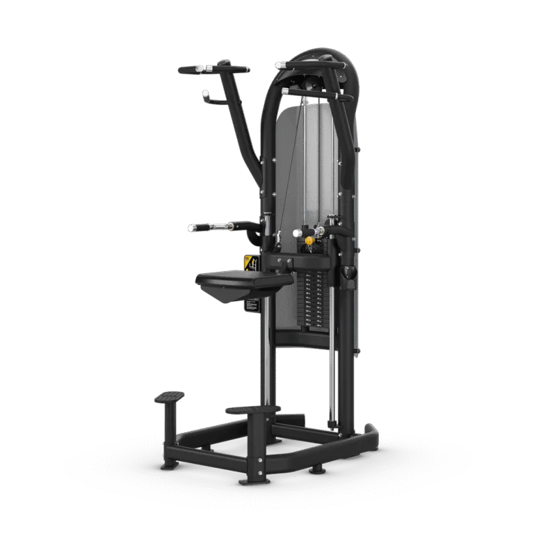 Aura Dip Chin Matrix Fitness