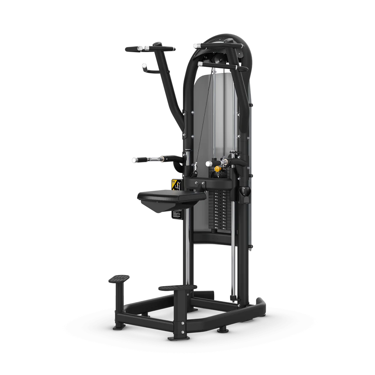 Aura Dip Chin Matrix Fitness