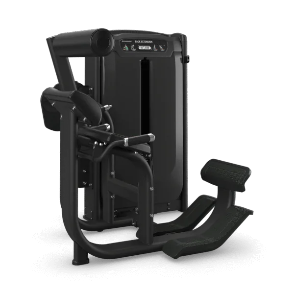 Onyx Back Extension Matrix Fitness
