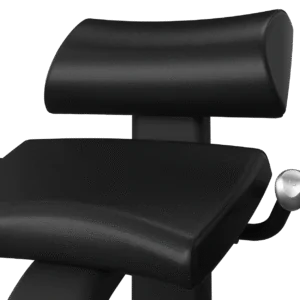 Onyx Back Extension Matrix Fitness