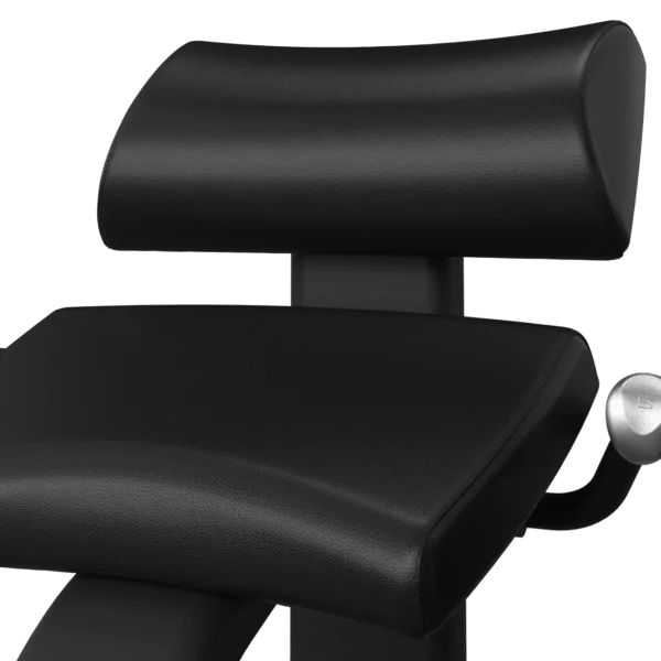 Onyx Back Extension Matrix Fitness