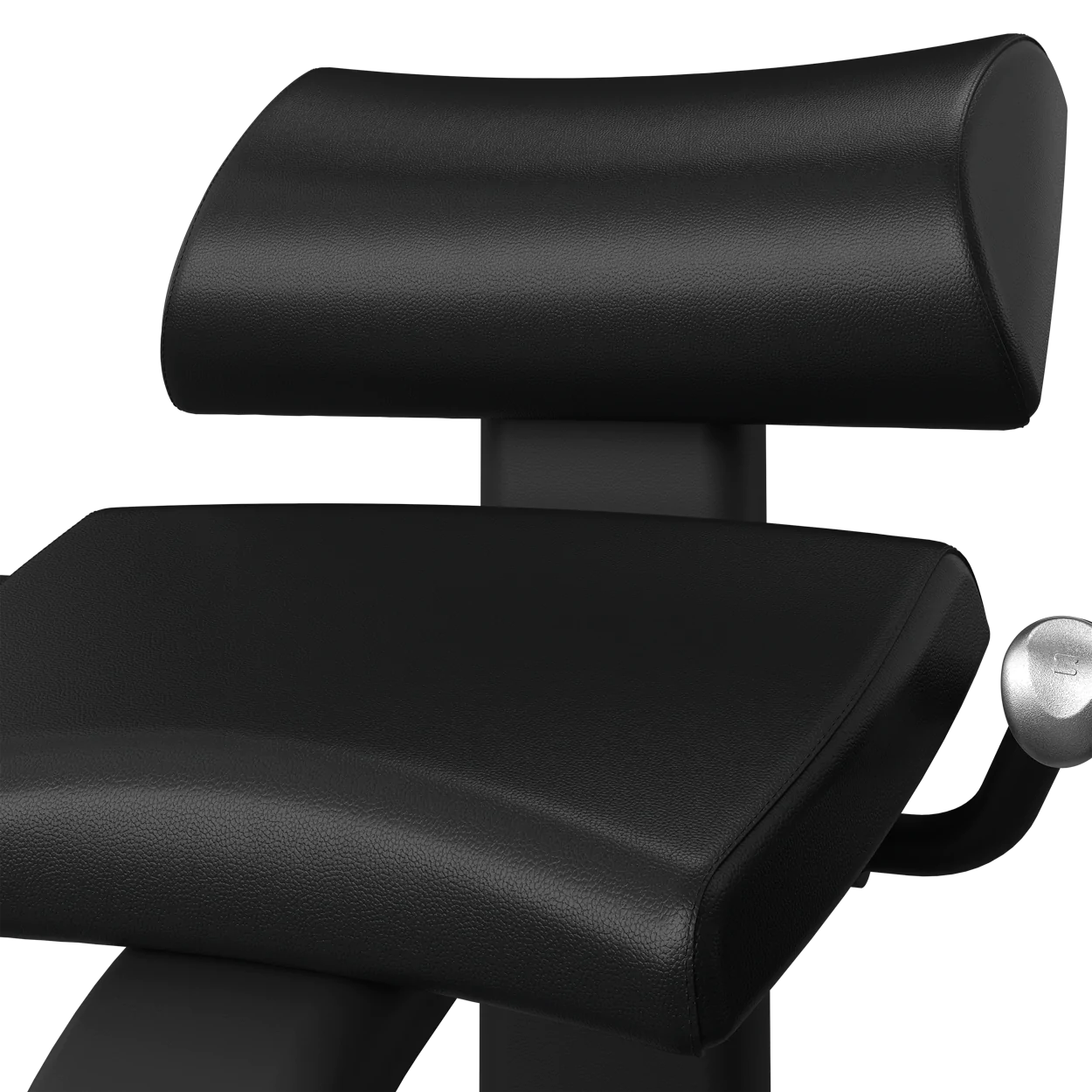 Onyx Back Extension Matrix Fitness