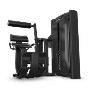 Onyx Back Extension Matrix Fitness