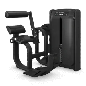Onyx Back Extension Matrix Fitness